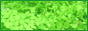88x31 button