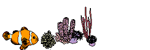 a coral reef with a clownfish